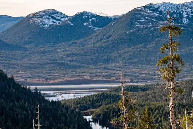 Ketchikan Alpine Overlook Adventure Trek - Image 1