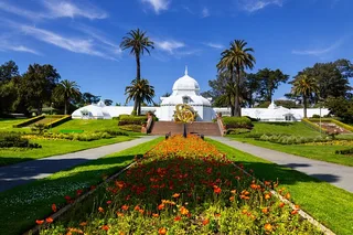San Francisco Golden Gate Park and California Academy Tour
