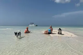 Key West Sandbar and Paddle Adventure