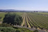 Napa and Sonoma Wine Tour thumbnail 2