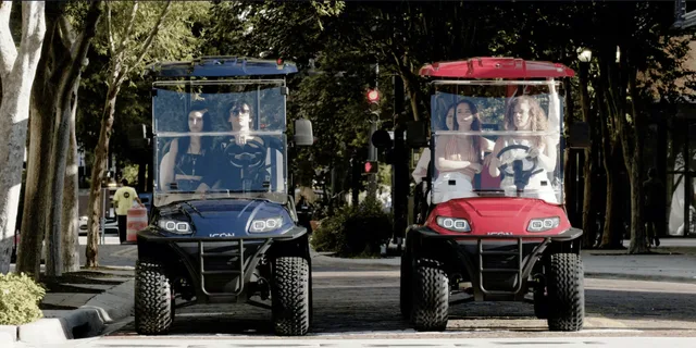 Fort Lauderdale Golf Cart Rental - Image 5