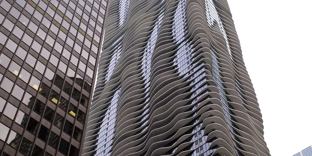 Chicago Downtown Guided Walking Tour - Image 1