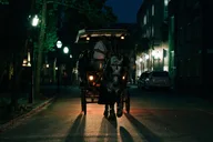 Charleston Haunted Carriage Tour thumbnail 2
