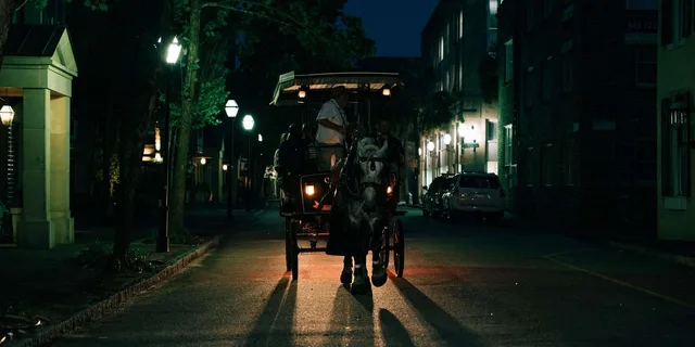 Charleston Haunted Carriage Tour - Image 2