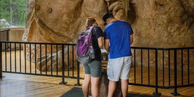Rapid City Mt. Rushmore and Crazy Horse Tour - Image 5