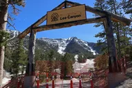 Las Vegas Mount Charleston Tour thumbnail 6