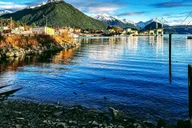Sitka Land & Sea Wildlife Tour with Meal thumbnail 6