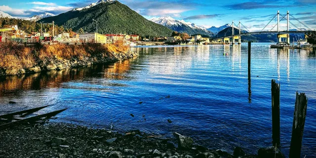 Sitka Land & Sea Wildlife Tour with Meal - Image 6