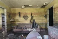 New Orleans Rebirth & Life After Katrina Tour thumbnail 3