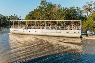 New Orleans Swamp Boat Tour thumbnail 1