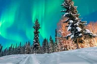 Fairbanks Aurora Chasing Tour 4 hr thumbnail 2