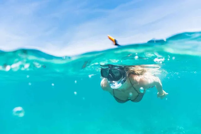 Honolulu Snorkeling Adventure - Image 4