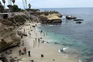 La Jolla Coastal Golf Cart Tour thumbnail 3