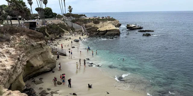 La Jolla Coastal Golf Cart Tour - Image 3