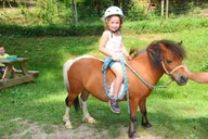 Smoky Mountains Mini Horse Ride for Children thumbnail 4
