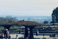 Los Angeles Museum and Observatory Private Tour thumbnail 6