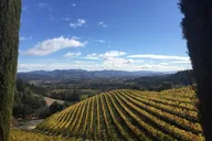 San Francisco Private Limo Wine Tour to Napa thumbnail 2
