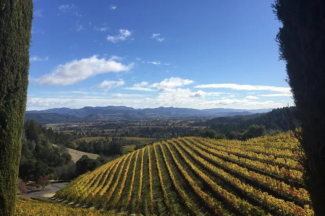 San Francisco to Napa Valley Wine Tour - Image 2