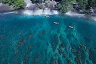 Maui Kayak and Turtle Snorkel Adventure thumbnail 6