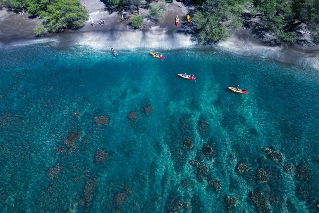 Maui Kayak and Turtle Snorkel Adventure - Image 6