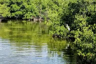 Florida Keys Kayak and Paddleboard Rental thumbnail 5