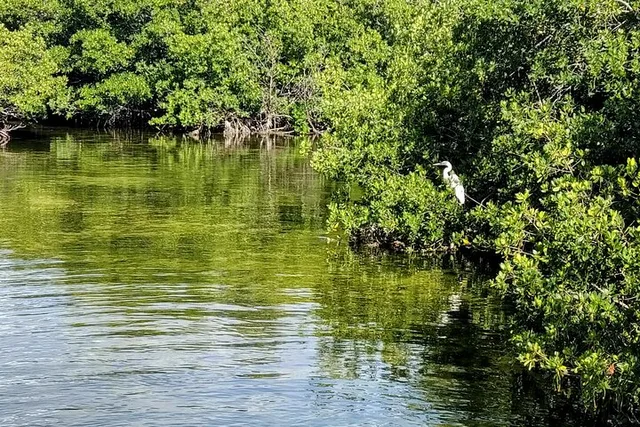 Florida Keys Kayak and Paddleboard Rental - Image 5