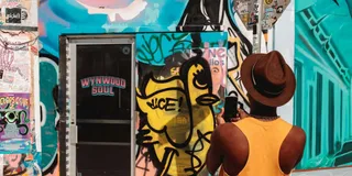Miami Wynwood Walls Street Art Walking Tour