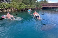 Palm Beach Clear Kayak Tour of Peanut Island thumbnail 4