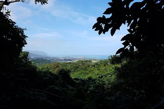 Oahu Waterfall Hike Adventure - Image 6