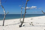 Everglades Shell Wildlife Eco Excursion thumbnail 1
