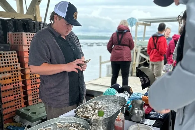 Maine Oyster Farm Tour - Image 3