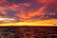 Tampa Bay Sunset Eco Adventure Cruise thumbnail 1