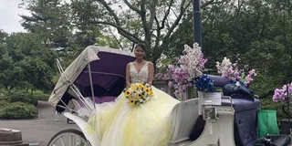 New York Central Park Horse Carriage Ride