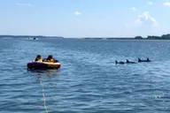 Hilton Head Boat and Kayak Adventure thumbnail 3