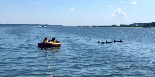 Hilton Head Boat and Kayak Adventure - Image 3