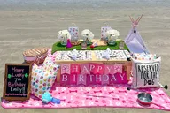Charleston Themed Picnic Experience 2 hr thumbnail 2