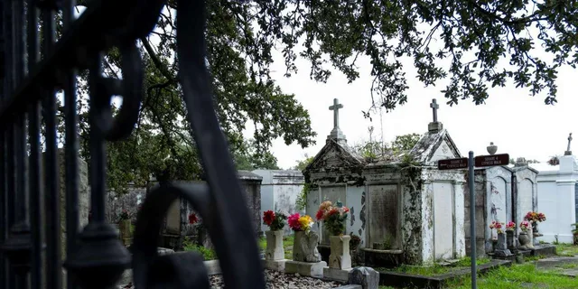 New Orleans Garden District Walking Tour - Image 5