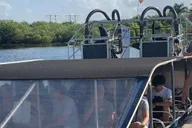 Miami Everglades Airboat Tour with Transportation thumbnail 2