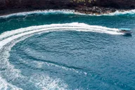 Kealakekua Bay Snorkel Tour in Captain Cook thumbnail 5