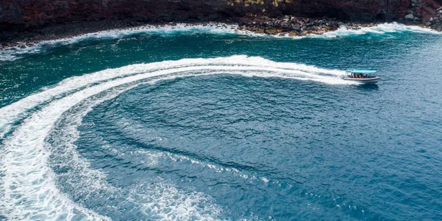 Kealakekua Bay Snorkel Tour in Captain Cook - Image 5