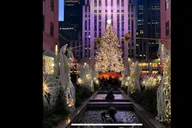 New York City Christmas Lights Rickshaw Tour thumbnail 4