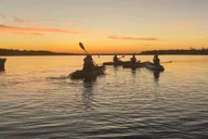 Hilton Head Guided Kayak Eco Tour thumbnail 2