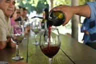 San Diego Wine Country Tour thumbnail 1