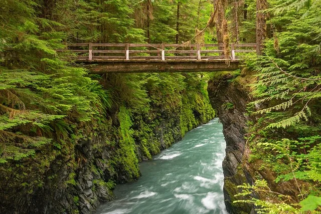 Seattle Olympic National Park Van/Ferry Tour - Image 1