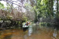Seminole Forest Kayak Adventure on Blackwater Creek thumbnail 3