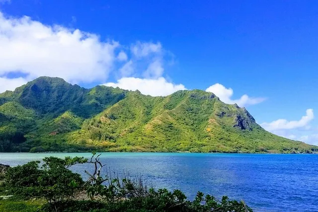 Oahu Island Tour with Cultural Ambassadors - Image 4
