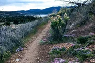 Big Bear Valley Nature Hike thumbnail 6