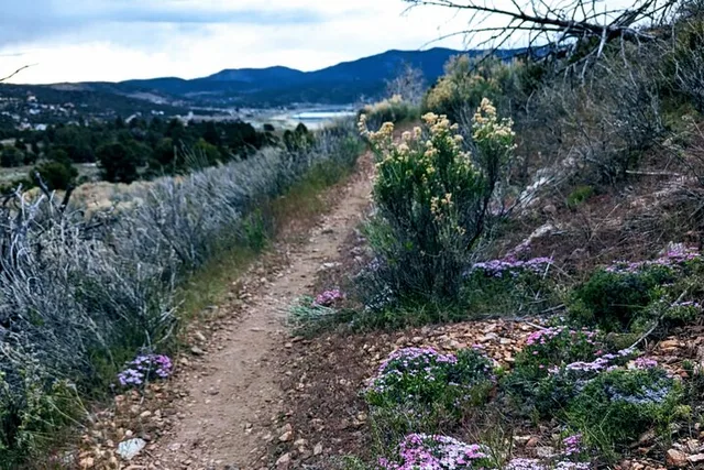 Big Bear Valley Nature Hike - Image 6