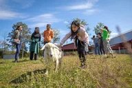 Hudson Valley Llama/Alpaca Hike and Farm Tour 90 min thumbnail 3