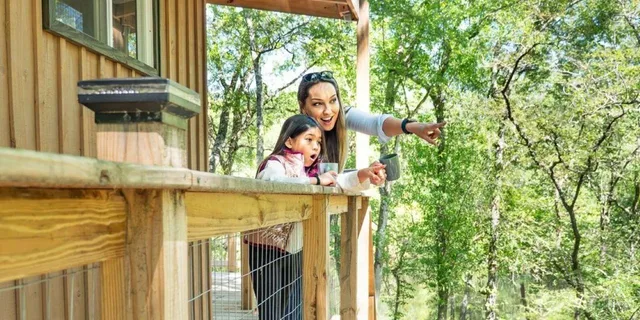 Myrtle Beach Treehouse Adventure - Image 3